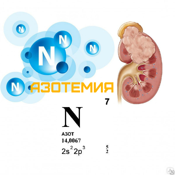 Азотемия. Азотемия картинки. Азотемия препараты. БХ-азотемия. Azotaemia латынь.